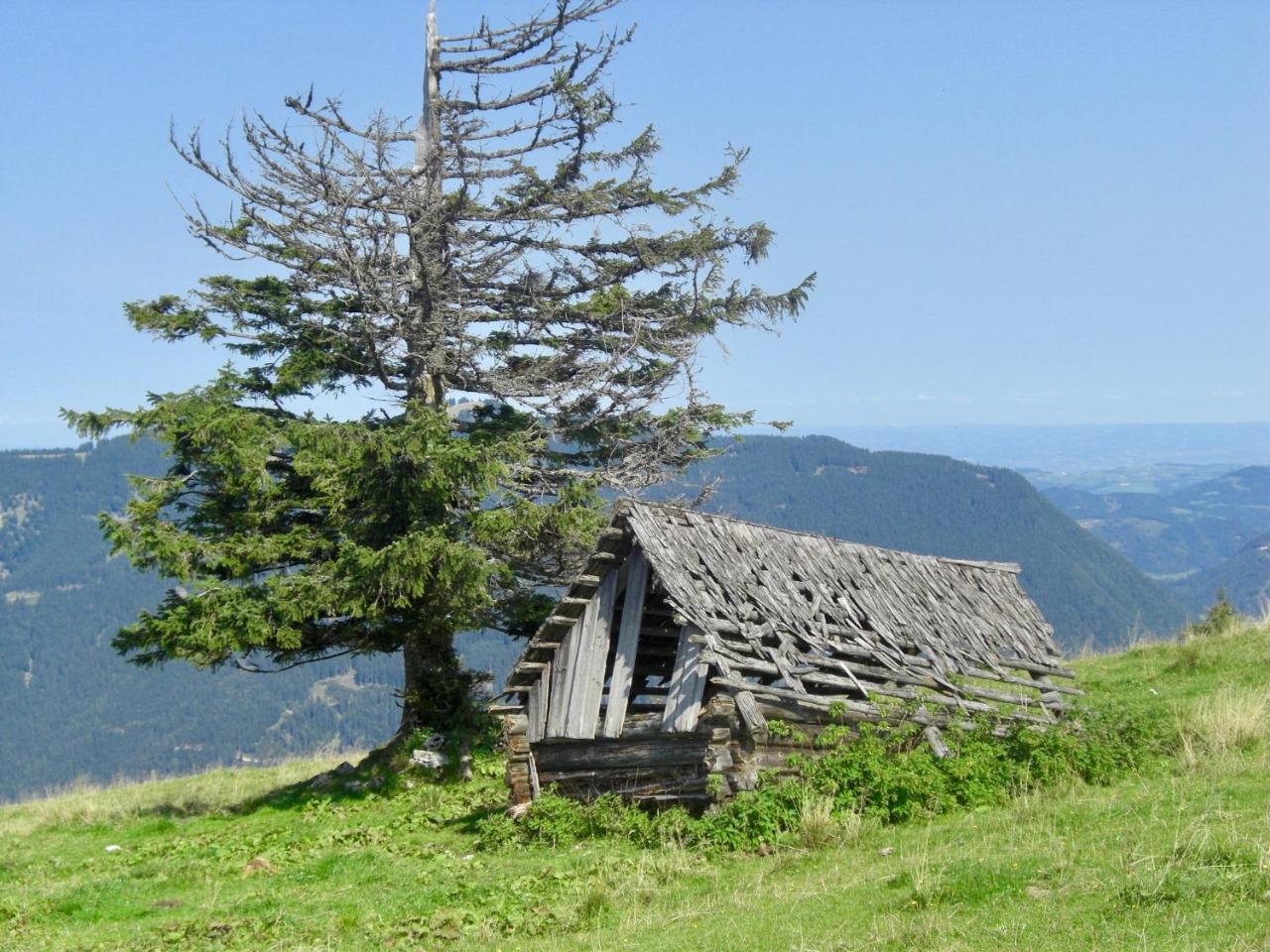 Ferienwohnung Lange Goestling an der Ybbs Exterior photo